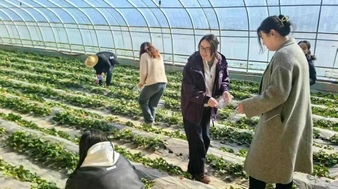 202503101741568065127663.jpg f625ba05723a2880f00bb14330dfa730.jpg