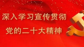  扎實推進(jìn)全面從嚴(yán)治黨工作確保全年目標(biāo)任務(wù)完美收官